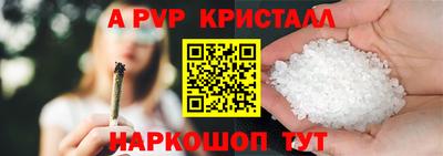PSILOCYBIN Можга