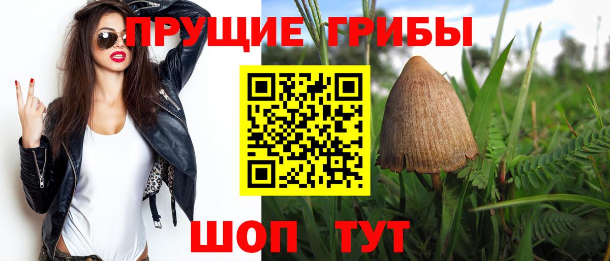 Галлюциногенные грибы MAGIC MUSHROOMS Воркута