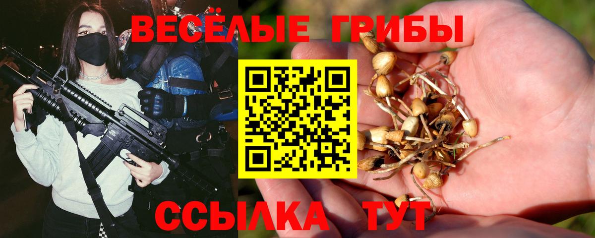 Воркута  Псилоцибиновые грибы мухоморы  Галлюциногенные грибы Cubensis  Вход с VPN 